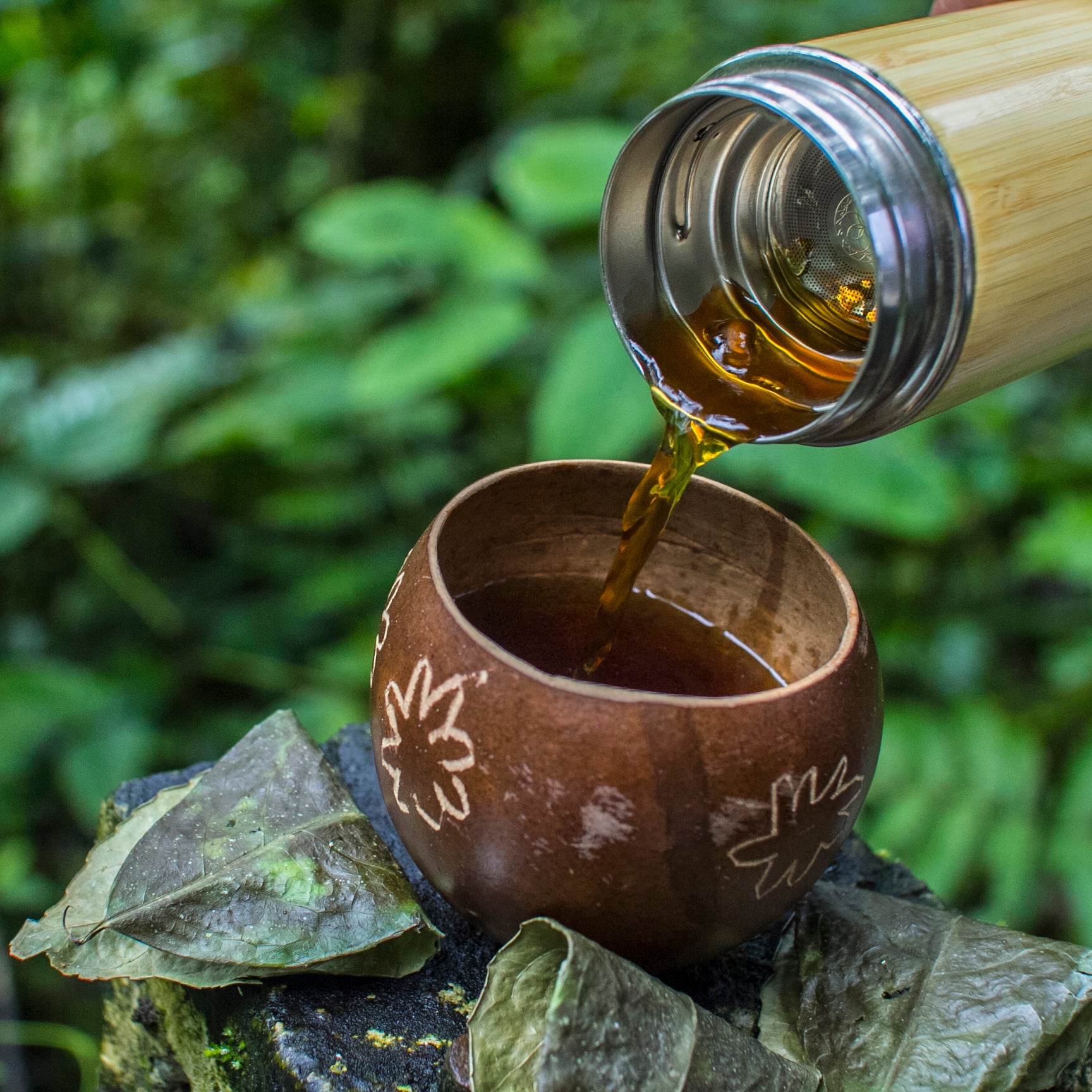 Pure Guayusa 1 LB. – WARMI